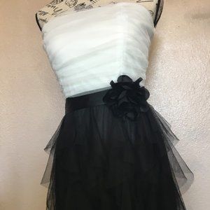 Finesse Strapless Dress